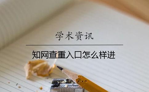 知网查重入口怎么样进