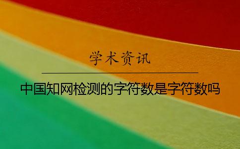 中国知网检测的字符数是字符数吗？
