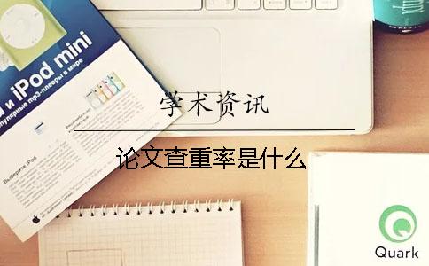论文查重率是什么