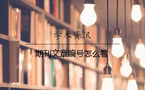 期刊文章编号怎么看