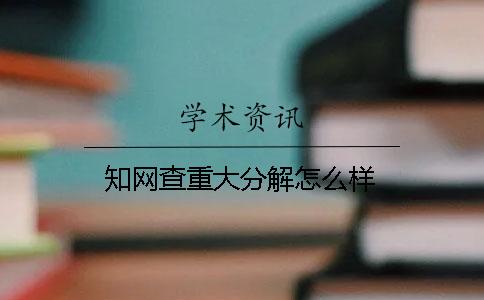 知网查重大分解怎么样？