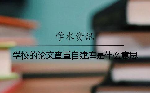 学校的论文查重自建库是什么意思？