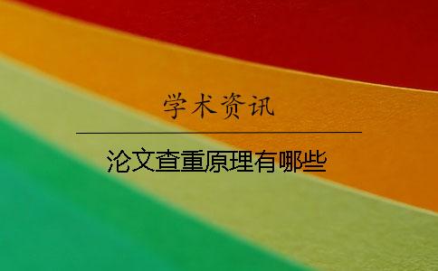 沦文查重原理有哪些