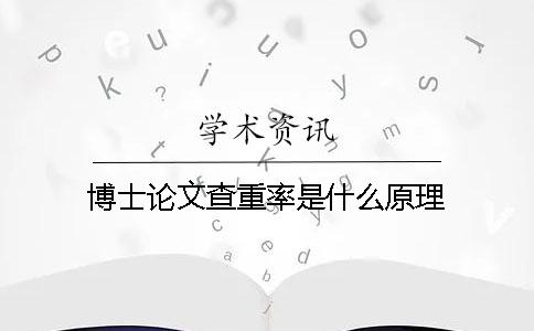博士论文查重率是什么原理