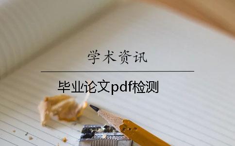 毕业论文pdf检测