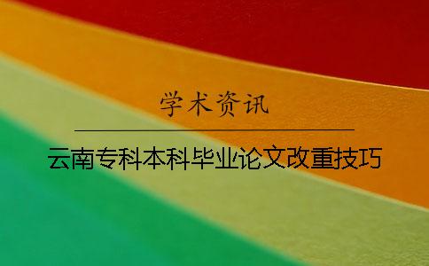 云南专科本科毕业论文改重技巧