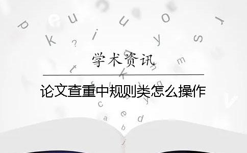 论文查重中规则类怎么操作