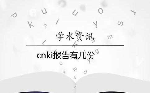 cnki报告有几份？