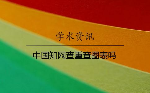 中国知网查重查图表吗