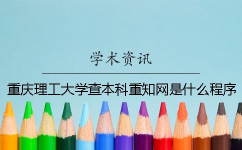 重庆理工大学查本科重知网是什么程序